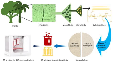 Nanocrystalline Cellulose: Revolutionizing Biocompatible Packaging and Regenerative Medicine Applications!