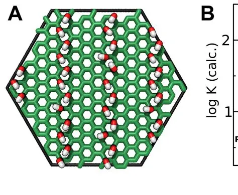  Hydroxylated Multiwalled Carbon Nanotubes: Wunderwerk der Nanotechnologie für Hochleistungs-Verbundwerkstoffe und innovative Energiespeicherlösungen?